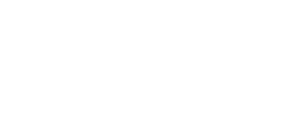 Plasm Network